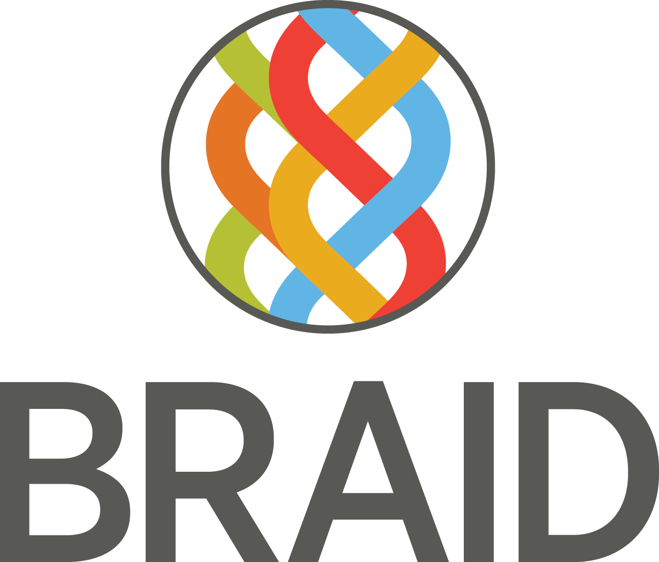 2020 BRAID Affiliate School